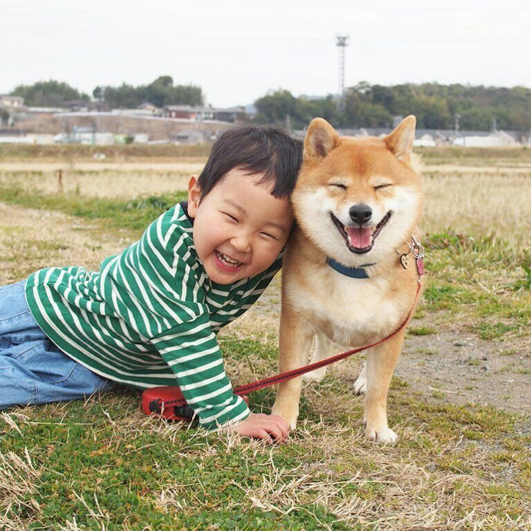 男の子と犬の写真